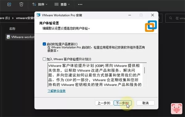 VMware Workstation Pro 17ƽ氲װ