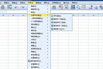 SPSS17.0中文特别版怎么设置中文