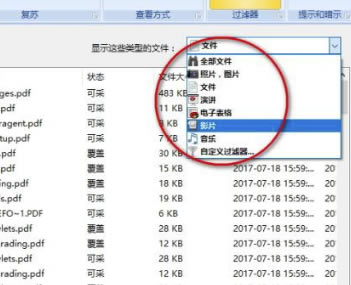 Diskdigger Pro电脑版使用方法
