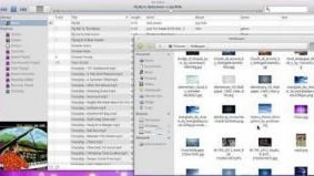 Elementary OS中文版怎么连接服务器