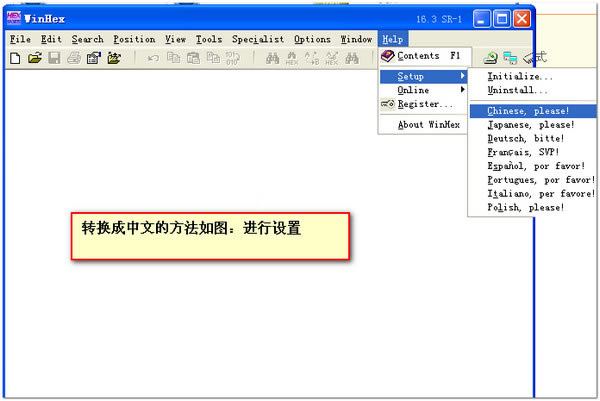 WinHex汉化特别版截图