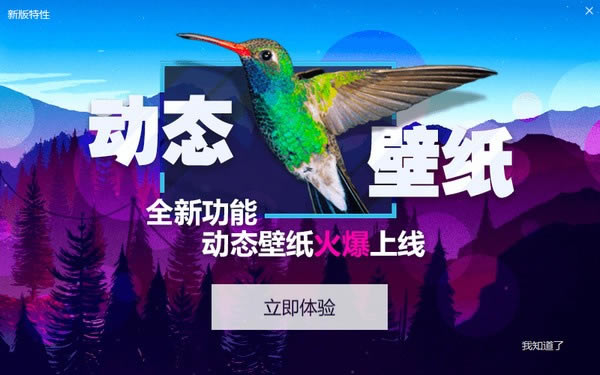 小鸟壁纸特别版