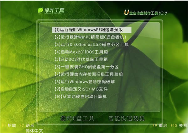 绿叶u盘启动盘制作工具增强版装机教程3