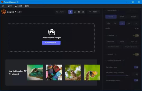 Topaz Gigapixel AI⼤ 1ͼƬ
