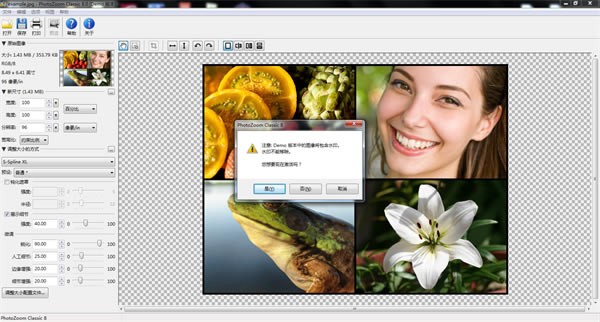 PhotoZoom Classicİ桿PhotoZoom Classicİ v8.0 ʽ