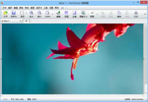FastStone Capture 10ٶ 3ͼƬ