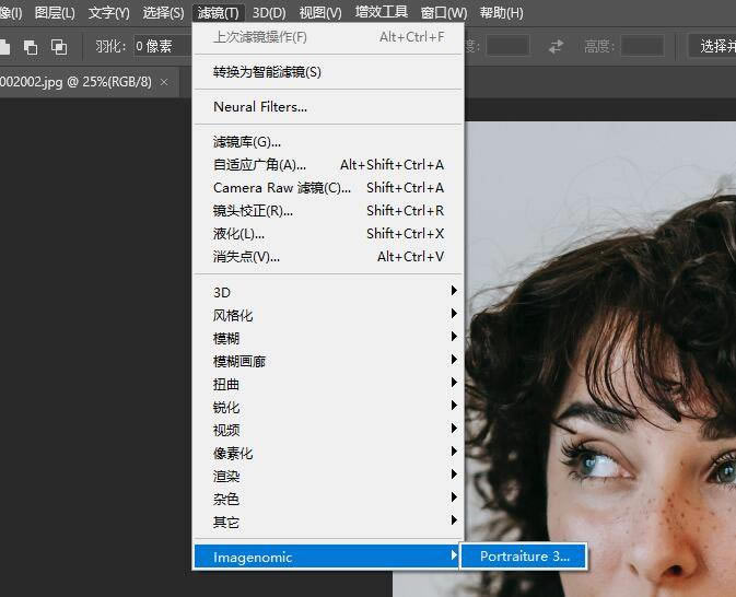 Portraiture for LightroomĥƤİ桿Portraiture for LightroomĥƤİ v4.0.3 °