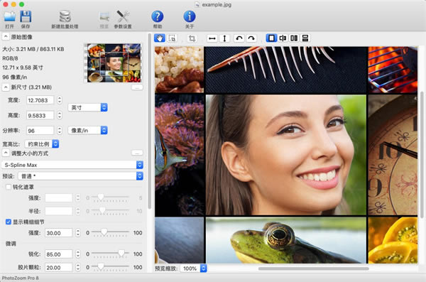 PhotoZoom pro8 for Mac° 3ͼƬ