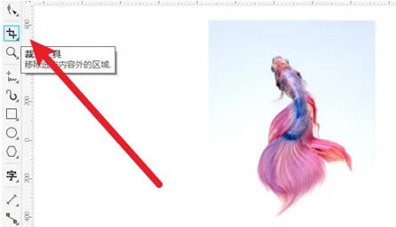 coreldrawôüĲֽͼ1