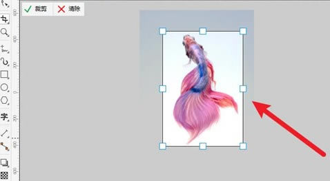 coreldrawôüĲֽͼ2