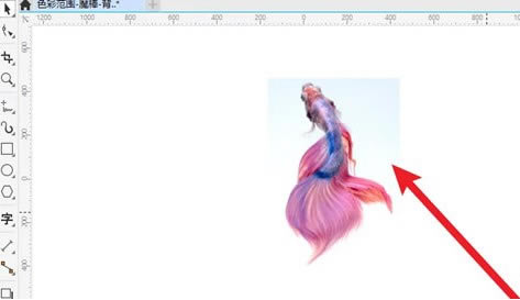 coreldrawôüĲֽͼ3