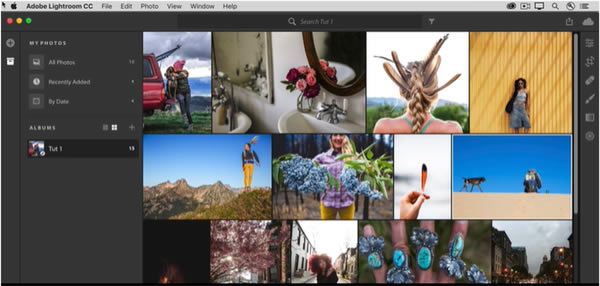 Adobe Lightroom Premium2022ر༭ؼ1