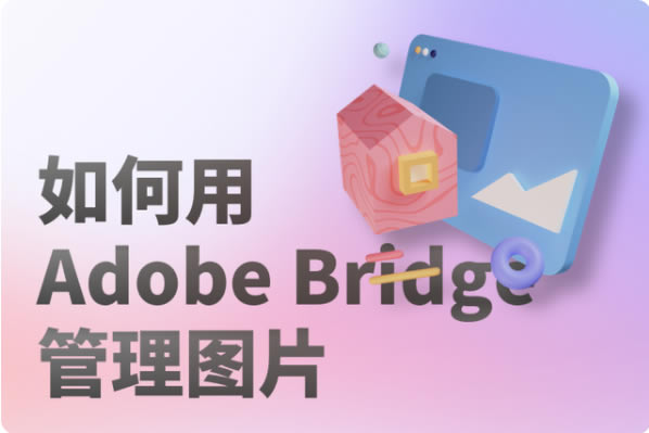 Adobe BridgeͼƬ1