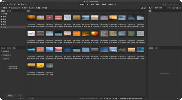 Adobe BridgeͼƬ3