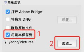 Adobe Bridgeͼ11