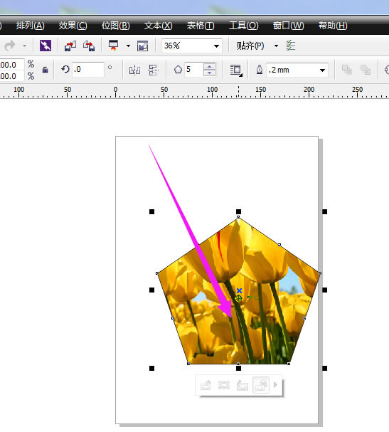 CorelDRAW2020رʹ˵