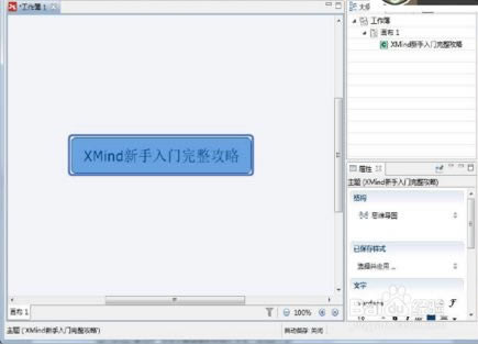 XMind11رءXMind11ѧͥ v11.0.2 (ر𲹶)-վ