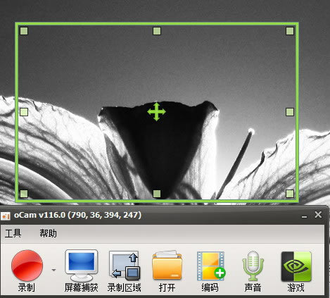 oCam录屏特别版 第2张图片