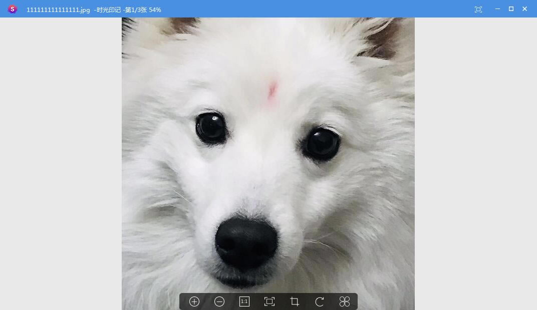 ʱӡر桿ʱӡ v1.0.0.7 ٷʽ