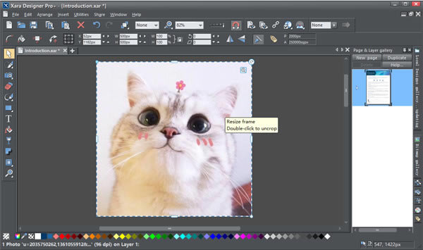 Xara Designer ProİءXara Designer Pro v8.1 ر