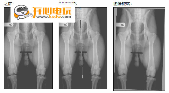 Digimizer特别版使用教程截图2