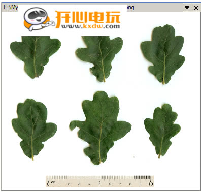 Digimizer特别版使用教程截图3