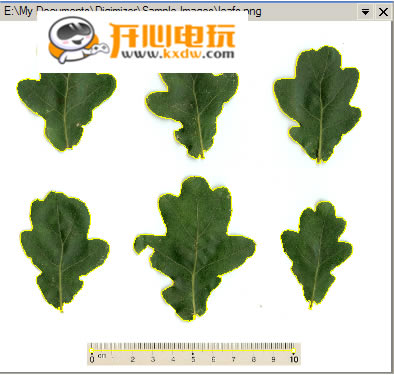 Digimizer特别版使用教程截图11