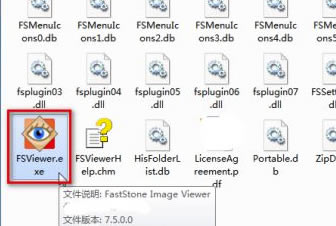 FSViewer中文版怎么使用