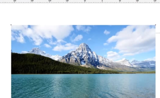 CDR2020中文破解版怎么置入容器