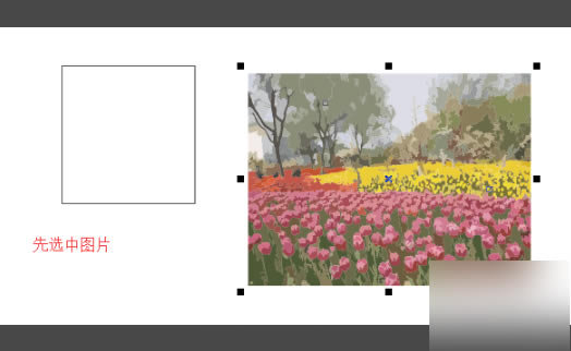 CDR2020中文破解版怎么置入容器