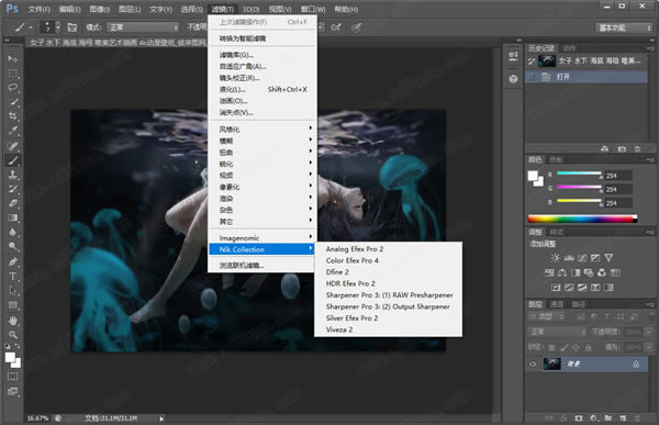 Nik Collection2020特别版截图