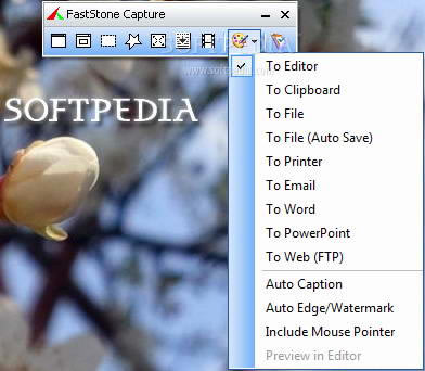 FastStoneCapture下载 第2张图片