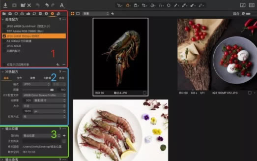 Capture One怎么批量
