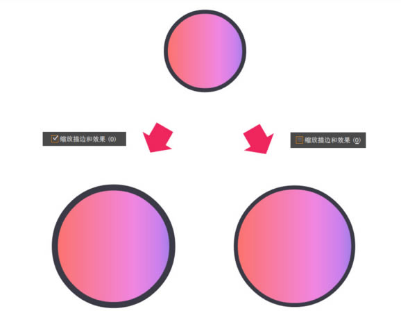 Adobe Illustrator CC 2020رءAdobe Illustrator CC 2020Ѱ v24.0 ɫ-վ