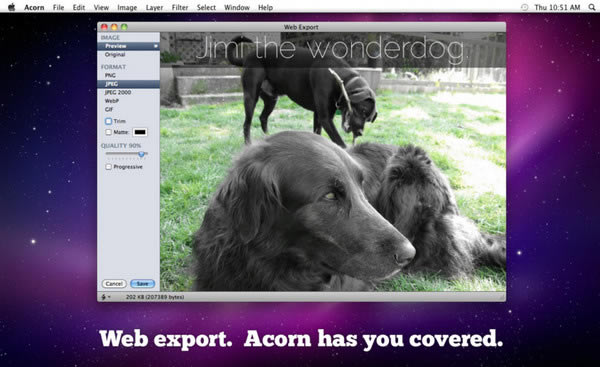 【Acorn特别版】Acorn for mac下载 v6.5.2 汉化特别版-本站