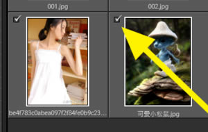 Lightroom cc2019特别版怎么导入照片