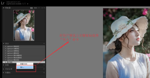 Lightroom cc2019特别版怎么导入预设