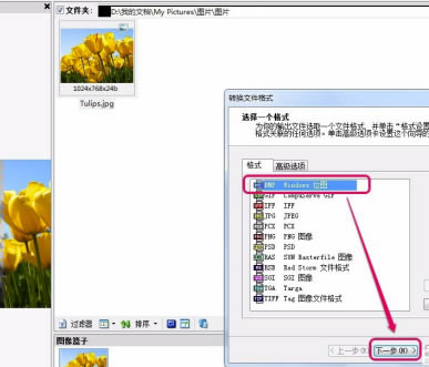 ACDSee2020中文特别版怎么转换格式