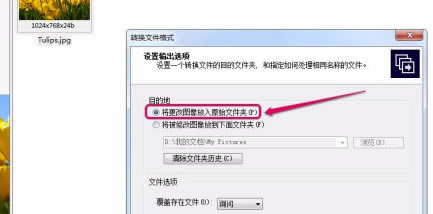 ACDSee2020中文特别版怎么转换格式