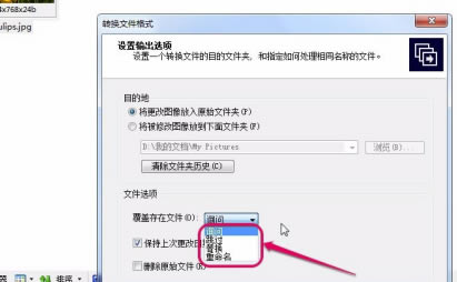 ACDSee2020中文特别版怎么转换格式