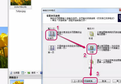 ACDSee2020中文特别版怎么转换格式