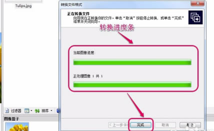 ACDSee2020中文特别版怎么转换格式