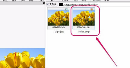 ACDSee2020中文特别版怎么转换格式