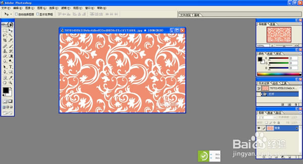 【Streamline特别版】Adobe Streamline特别版下载 v4.0 免费汉化版-本站