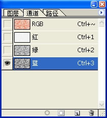 【Streamline特别版】Adobe Streamline特别版下载 v4.0 免费汉化版-本站