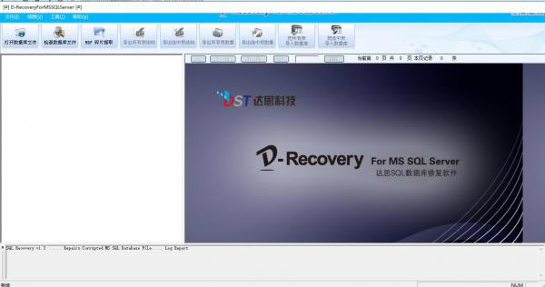 【达思数据恢复软件标准版下载】达思数据恢复软件标准版（D-Recovery standard） v1.0.0.2 电脑正式版