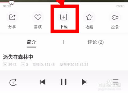 猫耳fm下载的音频在哪