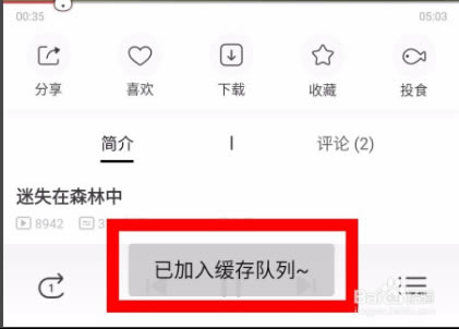 猫耳fm下载的音频在哪