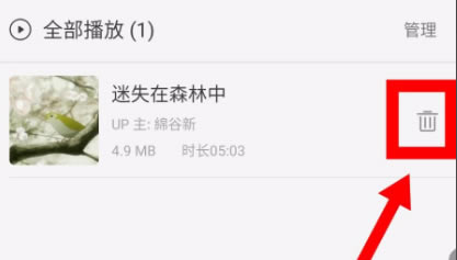 猫耳fm下载的音频在哪