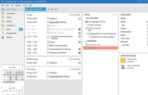 EssentialPIM pro截图